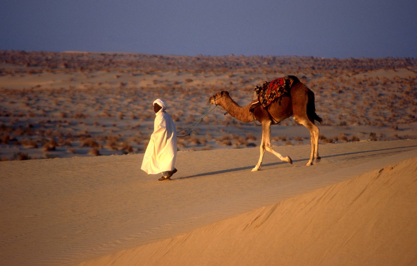 Many nomadic populations still exist today. One of the most famous are the Bedouin. 
