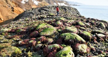 Man walks on coastal cliff of Japanese island