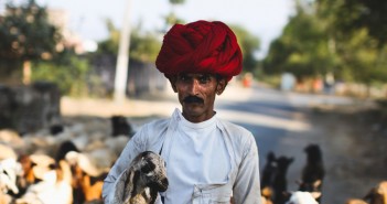 Diabetes in India: Raika herds goats