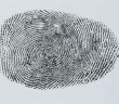 A fingerprint