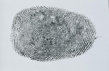 A fingerprint