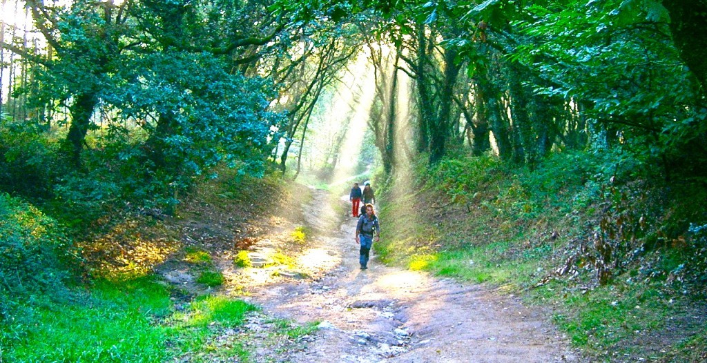 Camino-de-Santiago-2005-277-1024x526