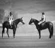 polo-umpires-wyoming-horses